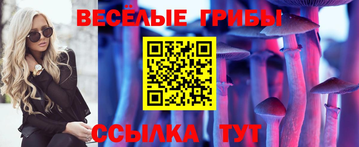 Галлюциногенные грибы Морозовск