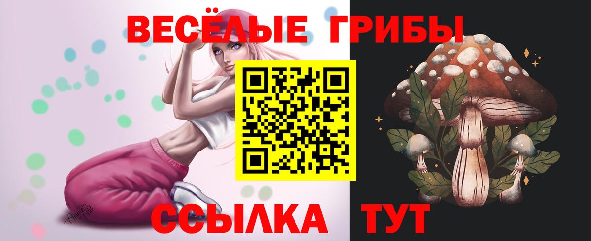 Псилоцибиновые грибы Psilocybe  Псилоцибиновые грибы Psilocybine cubensis  Вход с VPN  Морозовск 